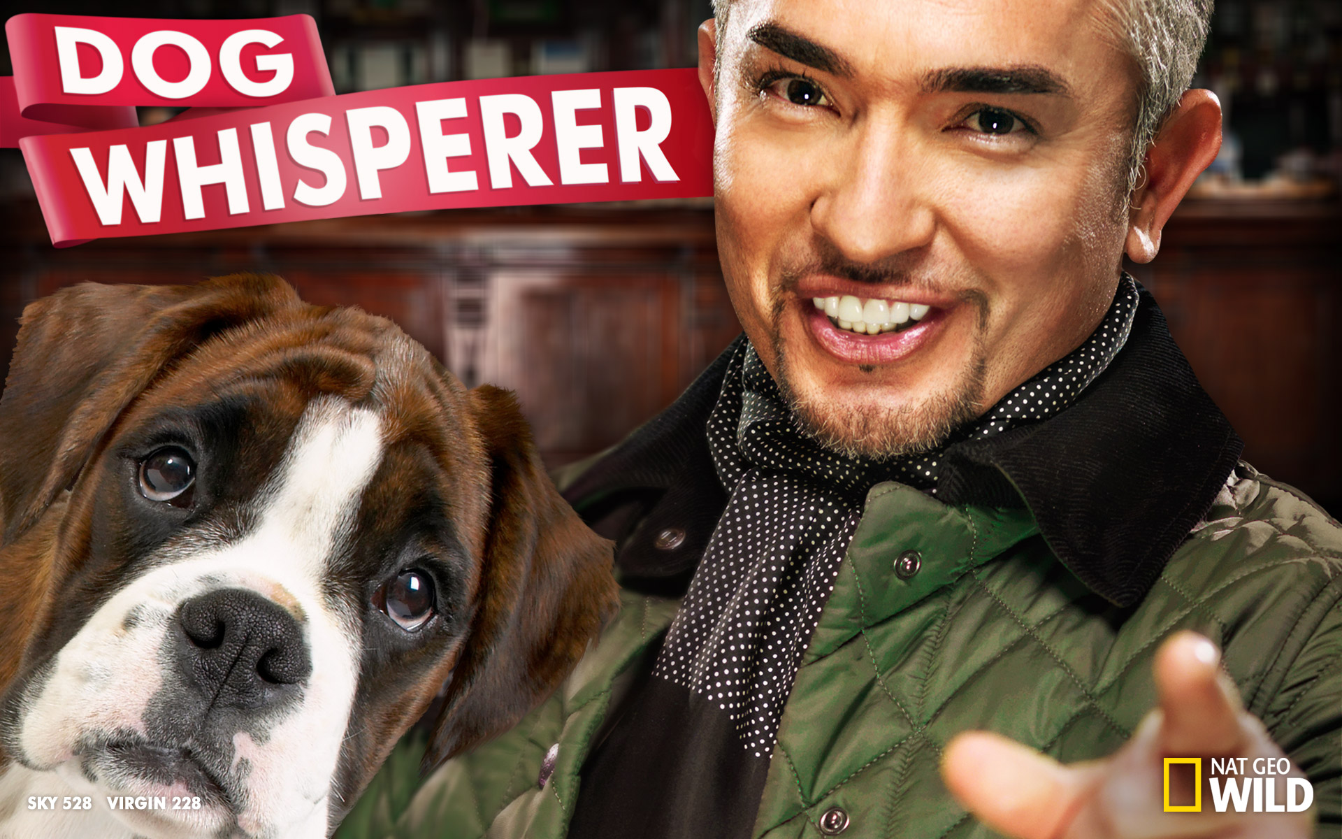 All Men Should Watch The Dog Whisperer