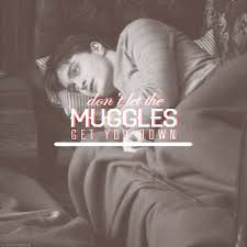 muggles