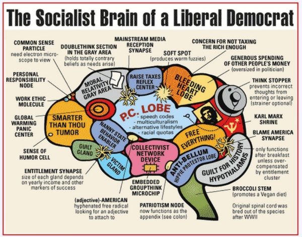 liberal-brain