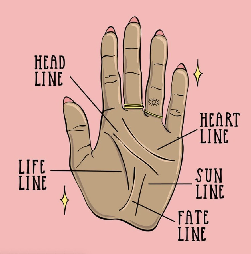 An example of a palm for palm reading